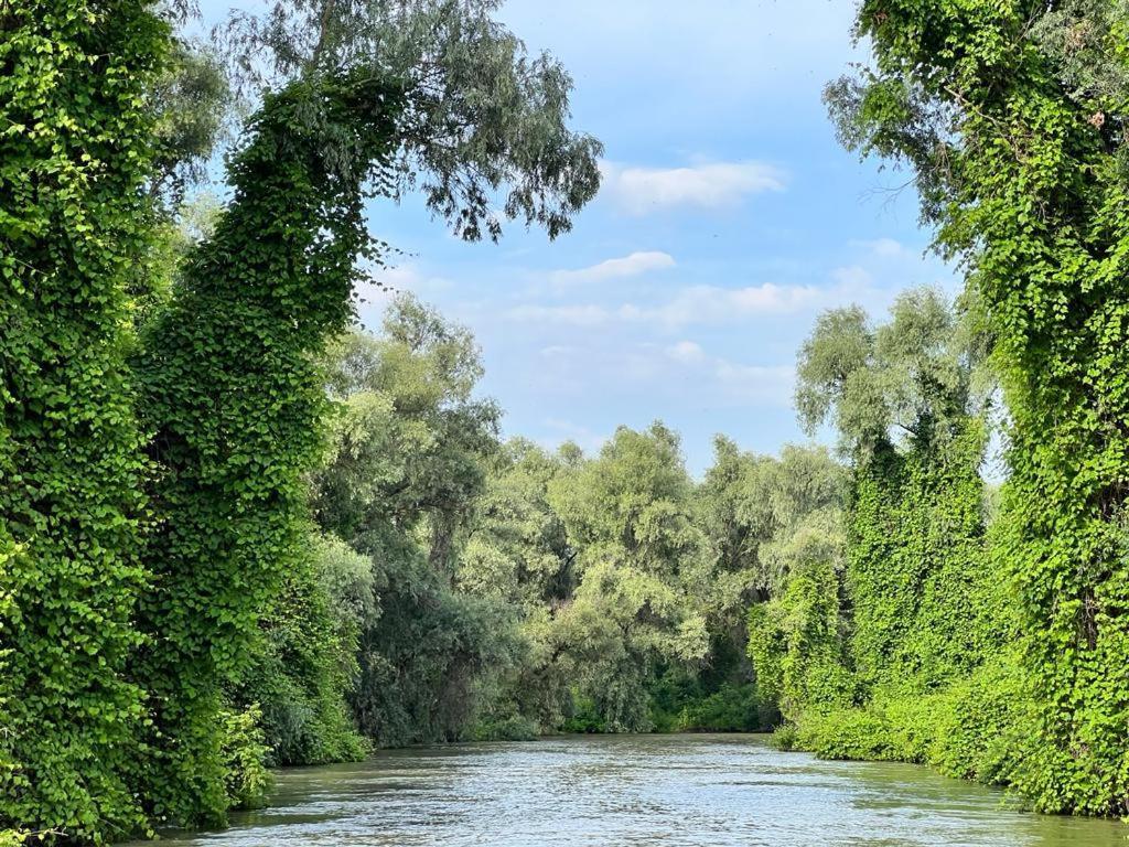 Vila Lac Murighiol Dış mekan fotoğraf